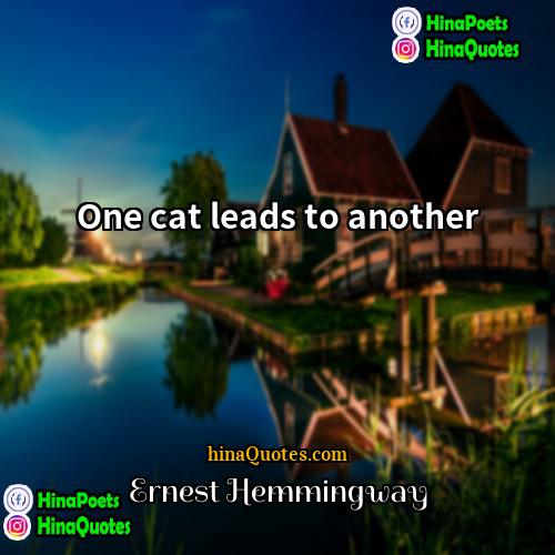 Ernest Hemmingway Quotes | One cat leads to another.
  